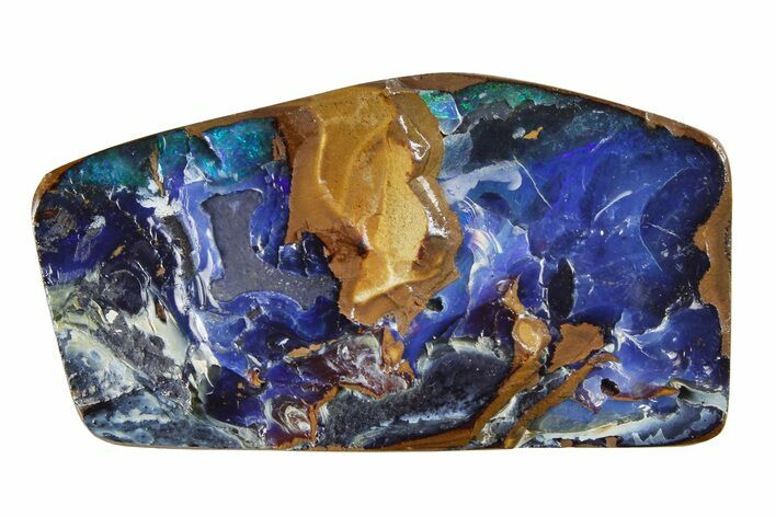 Colorful Polished Boulder Opal Specimen - Queensland, Australia #381776